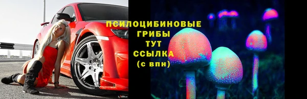 гидропоника Абаза