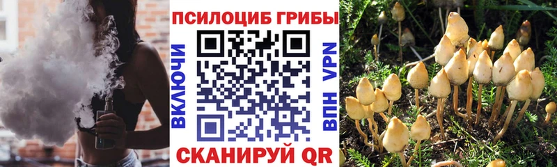 KRAKEN зеркало  Таштагол  Галлюциногенные грибы ЛСД 